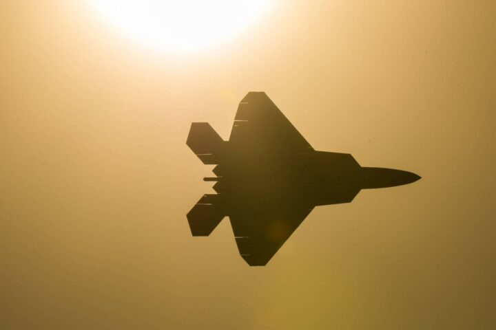 Raptor in the haze