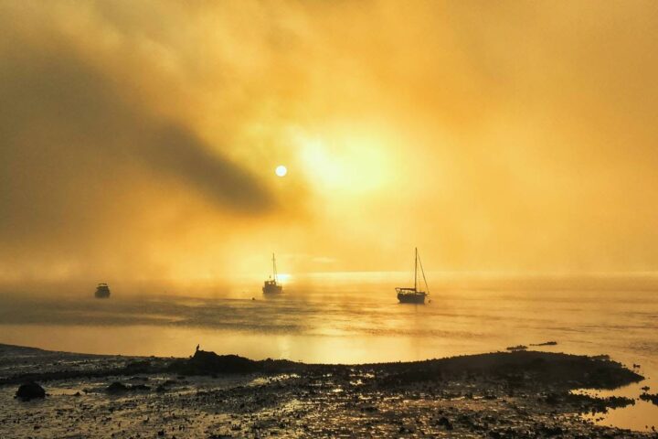 Boats in the morning fog