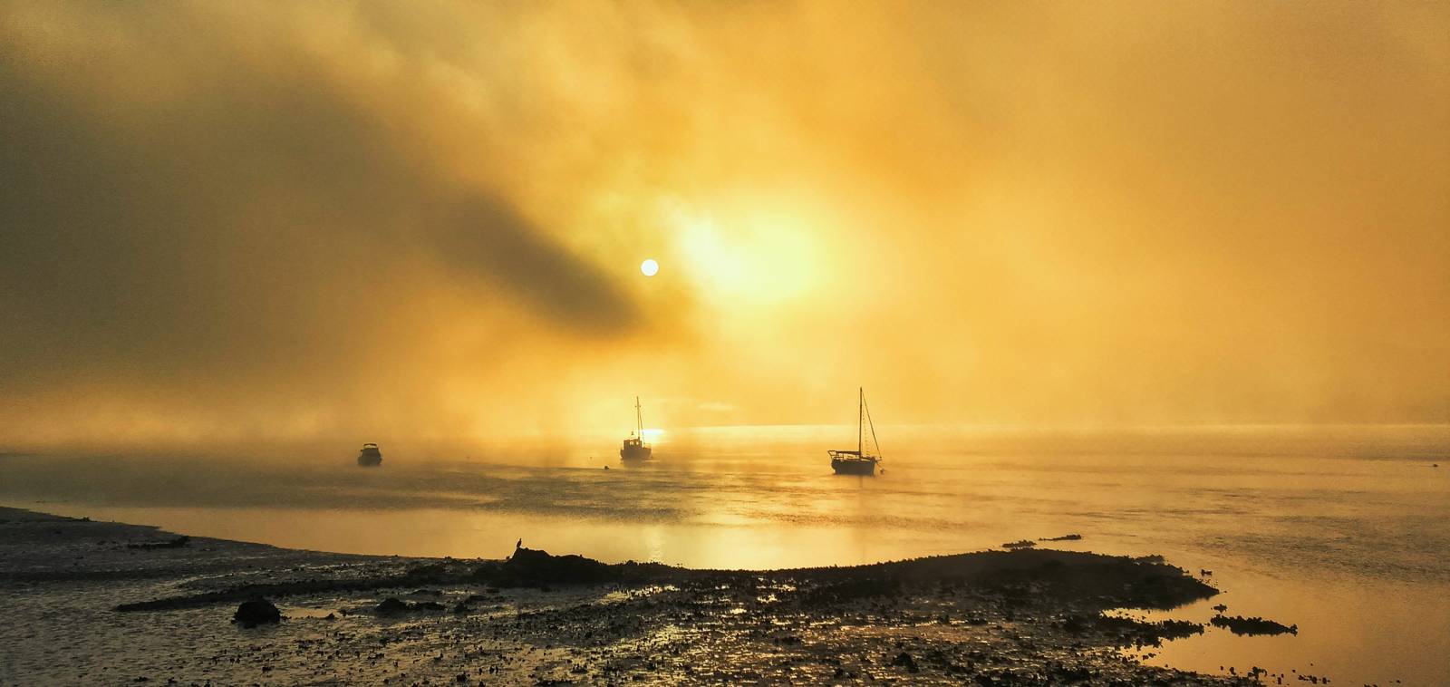 Boats in the morning fog