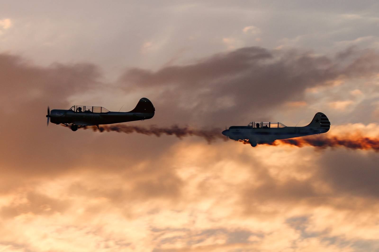 Yaks at sunset
