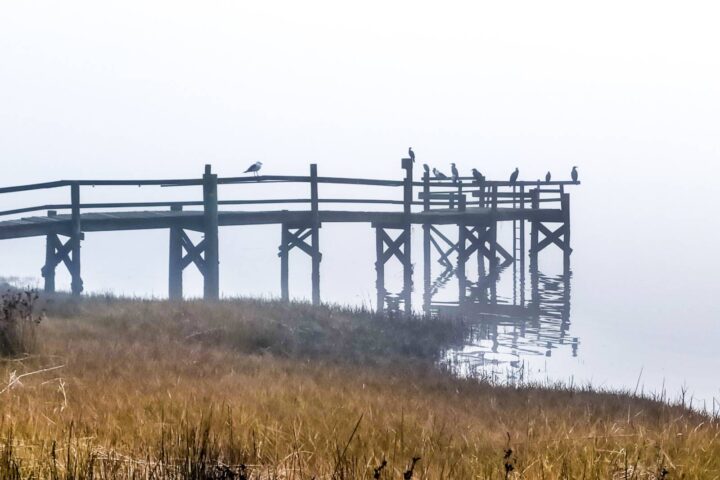 Jetty in fog