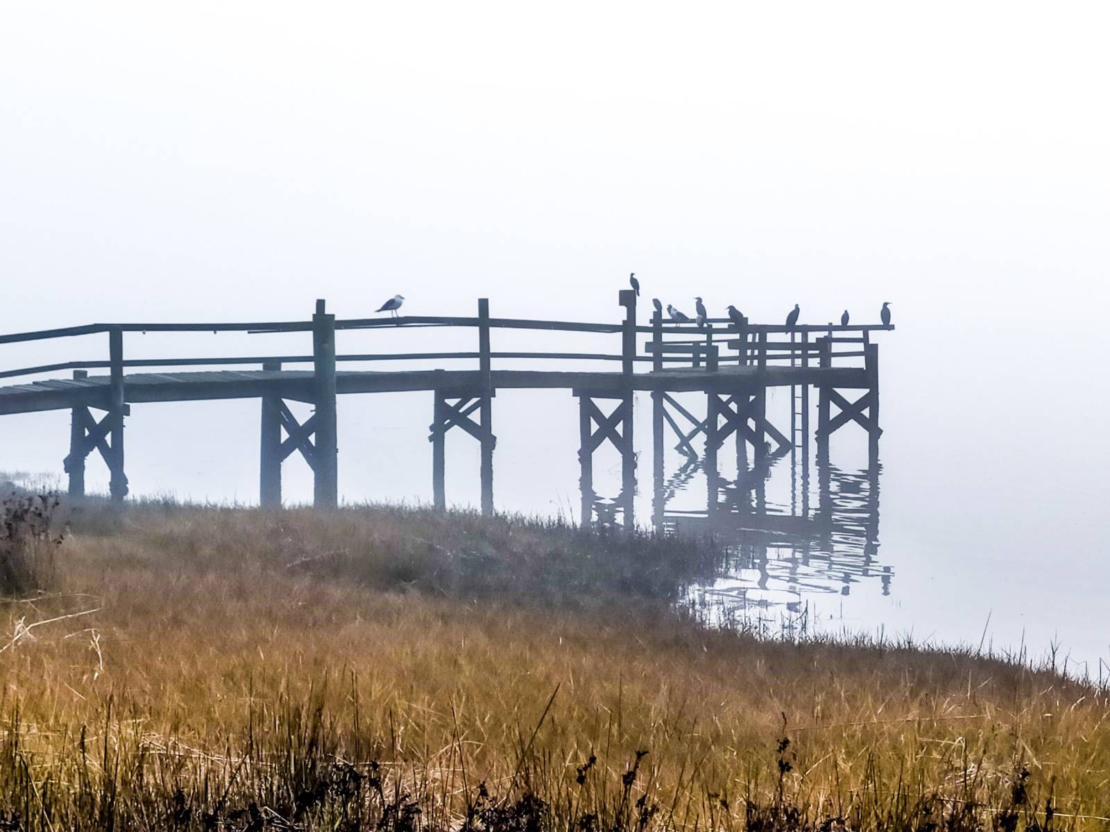 Jetty in fog