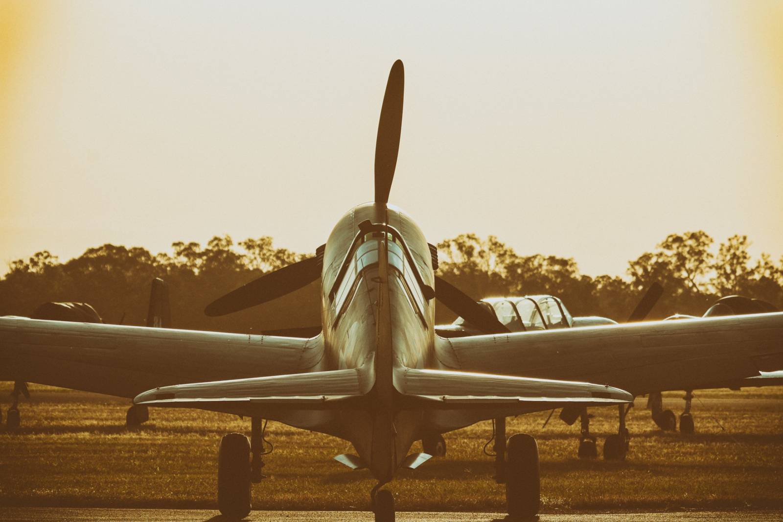 Warbird at last light